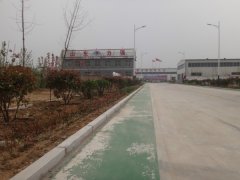 山东long8唯一加强企业绿化 提高公司工作环境
